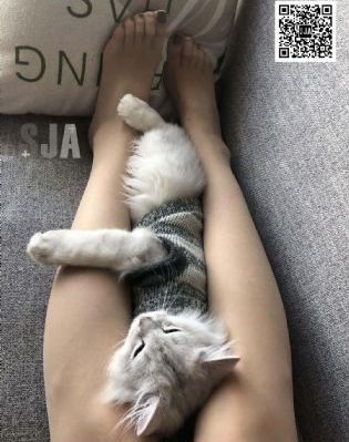 手机看片1024免费基地欧美_DVD高清在线观看